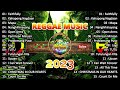 Reggae nonstop i remix i 2023 reggae songs dj rafzkie