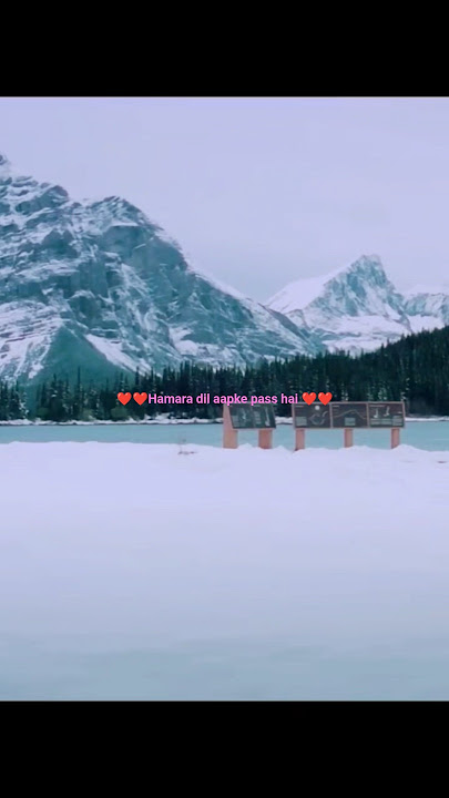 hamara dil aapke pass hai ❤️#superhit #romantic #lovesong