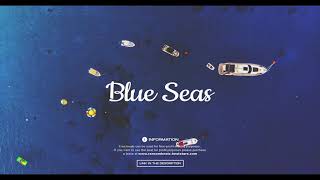 Video-Miniaturansicht von „[FREE] Afrobeat x Afroswing Type Beat 2020 - Blue Seas“