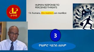 Lualawi ሉዓላዊ- የአዕምሮ ሣይንስ ለሰላም -3  