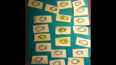 Water Quality Video Eutrophication and dissolved oxygen