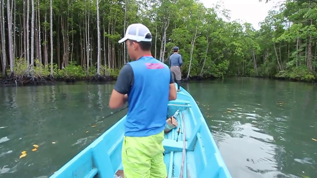 Fish Whisperer YouTube