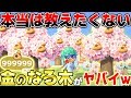 【あつ森】本当は教えたくない30万ベルもゲットできる"お金のなる木"がとにかくヤバイwwwwwwwwwww【あつまれどうぶつの森】