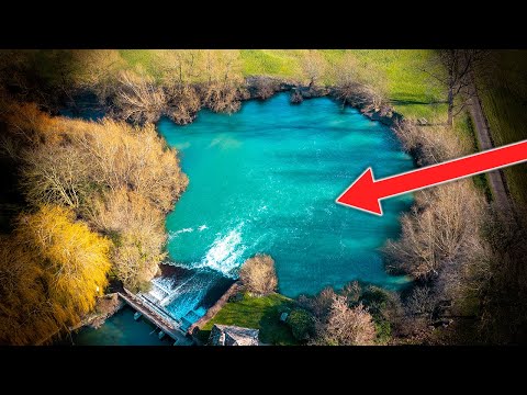 You Won't Believe What LIVES HERE!