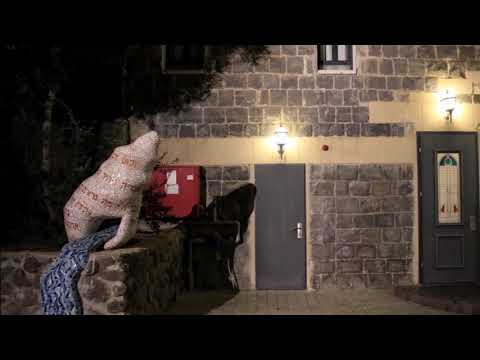 ქ. ტვერია(ისრაელი)