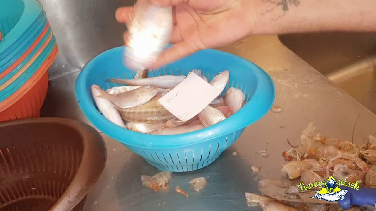 Nereye Gitsek - 1. Bölüm - Finike