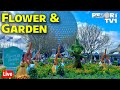🔴Live: Epcot Flower & Garden Festival Scavenger Hunt & Wednesday Fun - Walt Disney World