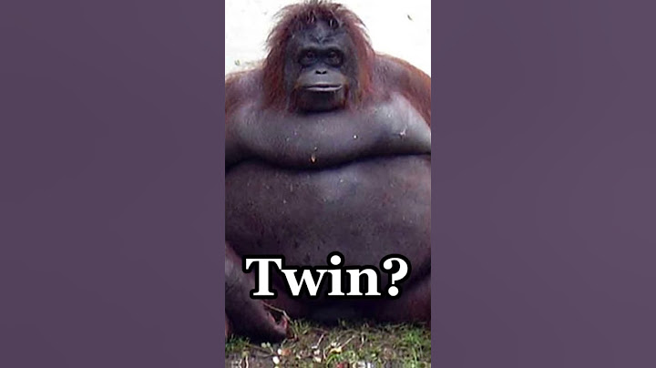 I can see the resemblance 💀