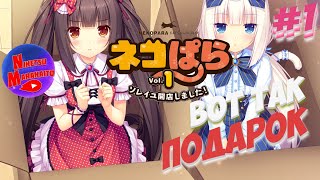 Прохождение NEKOPARA Vol.1 ► [#1] ДВА ПУШИСТЫХ СЮРПРИЗА