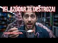 El Cuerpo Humano: Cómo el Azúcar Destruye Tu Salud y Te Deja Sonriendo | Documental