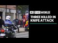 Three dead in knife attack at church in southern France | The World