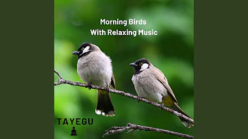 Birds Chirping Relaxing Music Morning 1 Hour Nature Ambient Yoga Meditation Sound For Sleep or...