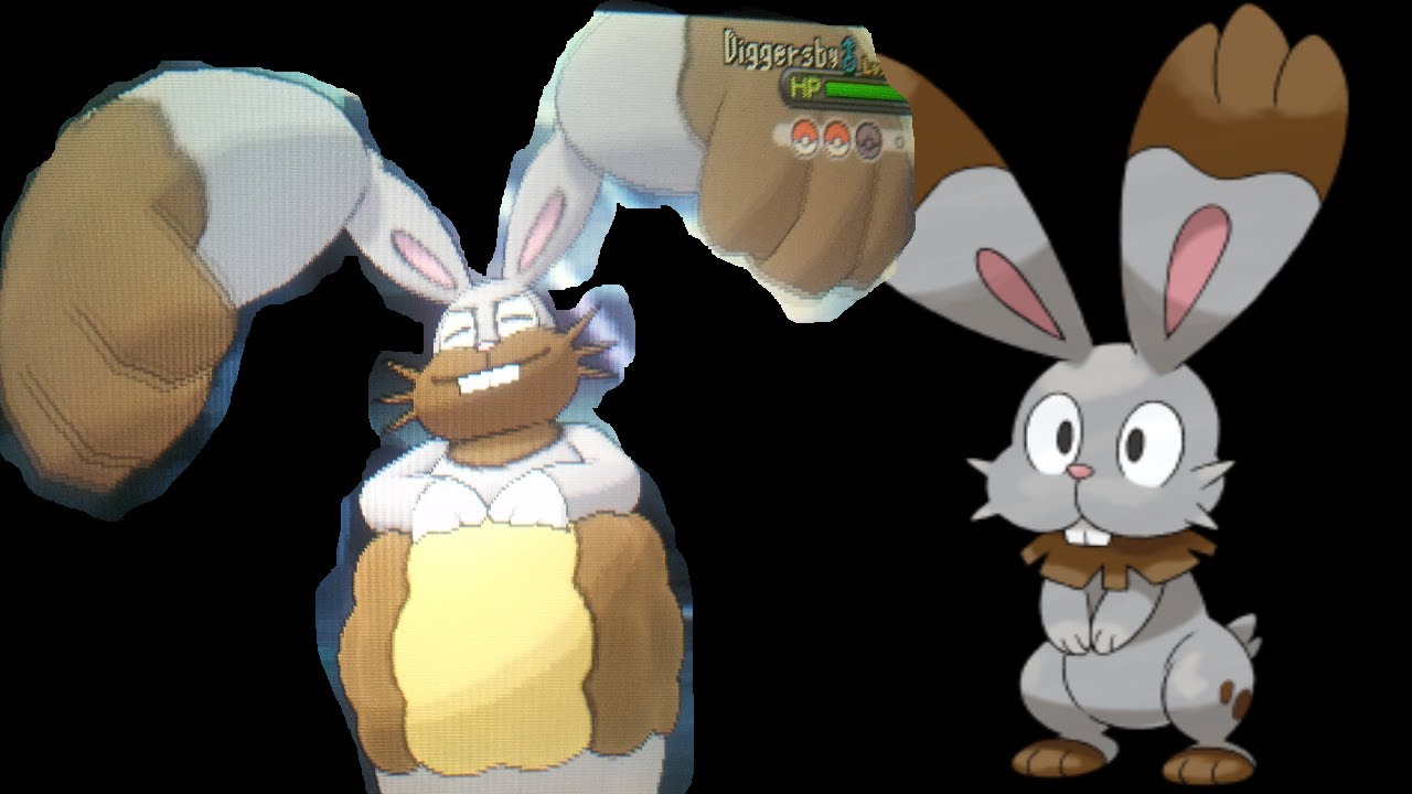 Bunnelby Evolution! Diggersby NEW POKEMON REVEALED LEAKED