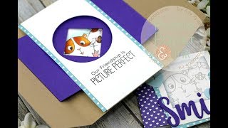 MFT Picture Perfect Shutter Card | EASY Interactive Card