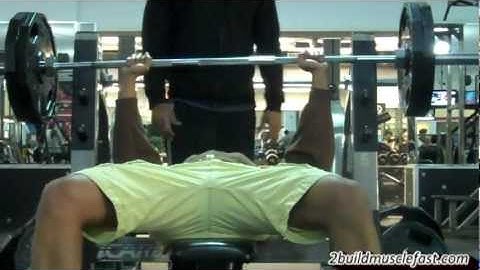 Chest & Tricep Day Natural Bodybuilding Routine @hodgetwins