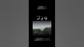 ما تيسر من الذكر الحكيم #القرآن_الكريم #تلاوة_خاشعة #راحة_نفسية