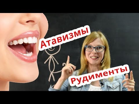 Биология | Рудименты и Атавизмы. Подготовка к ЕГЭ.