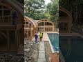 🌿 “Timber Haven Retreat: From Forest Floor to Luxury Woodland Escape”