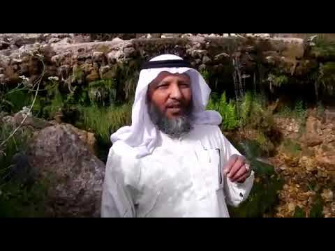 حكم تارك الصلاة د أنس العمايرة