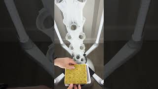 Planting Your Just Add Water Hydroponic Seed Sampler