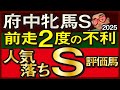 【府中牝馬ステークス2025予想・有力馬解説・外厩】チェルヴィニア逆転候補の栗東CW11.4秒S評価馬！カナテープ、カニキュル、シヴァース、セキトバイースト、ミアネーロ、ラヴェルなど参戦。