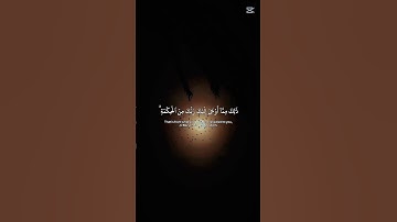 آيات من سورة الإسراء { ولا تقف ما ليس لك به علم } [ ياسر الدوسري ]