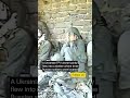 Ukrainian FPV Drone Found Three Russian Soldiers in a Shelter #warinukraine