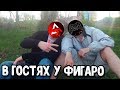 В гостях у FigaroChannel Вопросы для Фигаро, стрим Call of Duty Mobile