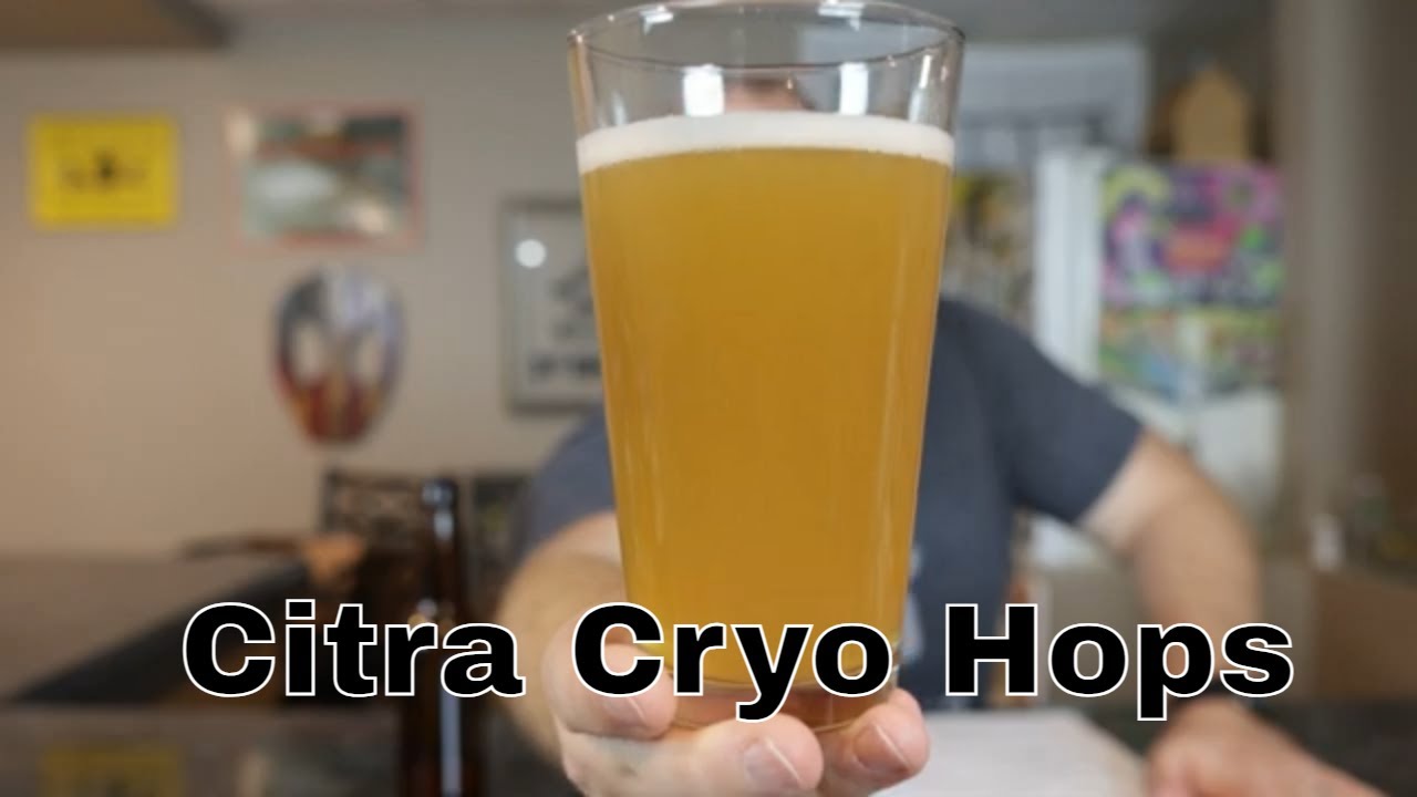 Homebrew SMaSH Beer Golden Promise and Citra Cryo Hops Tasting 3