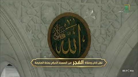 تلاوة في غاية الجمال من سورة هود 36-49 للشيخ د. #بندر_بليلة فجر السبت 2 ربيع الآخر 1446هـ 