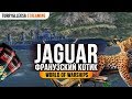 👍 ЭТОТ ЭСМИНЕЦ ЗАСТАВИТ ВАС ПОПОТЕТЬ! 👍 JAGUAR World of Warships