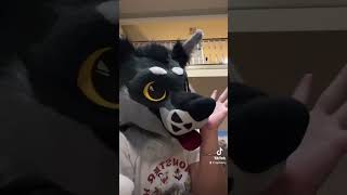 You lonely fuck ￼￼ #fursuit #fursuiter #furries #furryfandom #furry