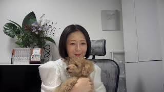 飯山あかりちゃんねるの配信のサムネイル画像