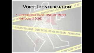 Investigations   Voice Identification