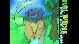 Watch David Wilcox What You Whispered video