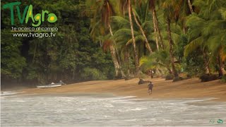 Recorrido Turístico por Bahía Solano (Chocó, Colombia)  TvAgro por Juan Gonzalo Angel