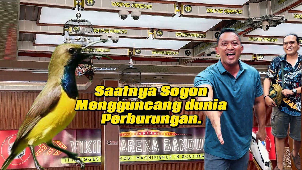 Viking Arena H min 1 dan akhirnya impian saya akan terwujud bermain di Viking Arena dengan Burcil.