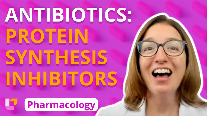 Antibiotics: Protein Synthesis Inhibitors - Immune System | @LevelUpRN