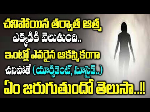 పితృ శాపం అంటే ఏమిటి..? దానికి పరిహారం | What is Pitru Dosham | How to Remove It | Telugu News