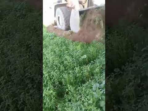 عوزينه تبقه خضر محمد ثروت