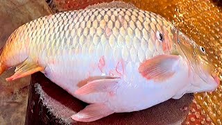 Amazing Giant Carp Fish Cutting Live In Fish Market | Fish Cutting Skills