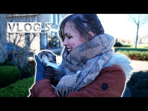 Dit gebeurde er met onze auto #Vlog 5