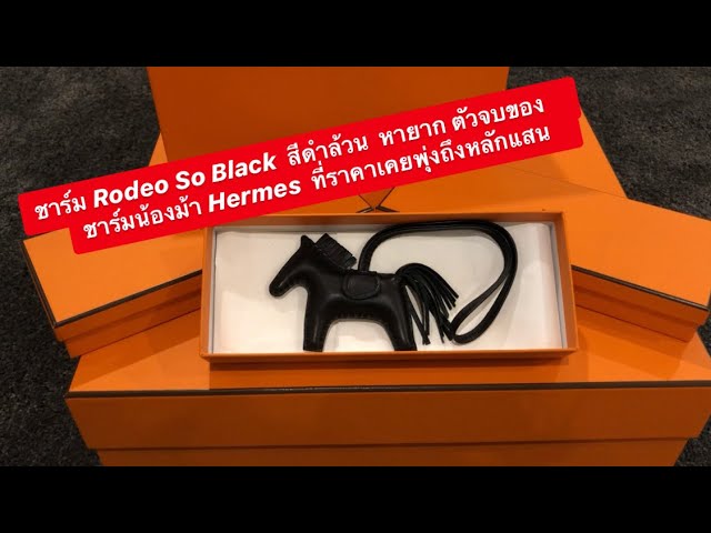 10 Things I Wish I Didn't Spend Money On. (HERMES rodeo charms