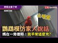 鸚鵡「模仿家人說話」 媽在一旁傻眼：我平常這麼兇？