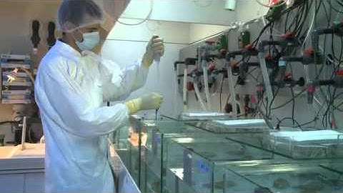 Understanding and Protecting the Environment