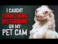 "I Caught Something Disturbing on my Pet Cam" Creepypasta