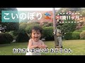 【こいのぼり】1歳11ヶ月 村方乃々佳　Nonoka Murakata