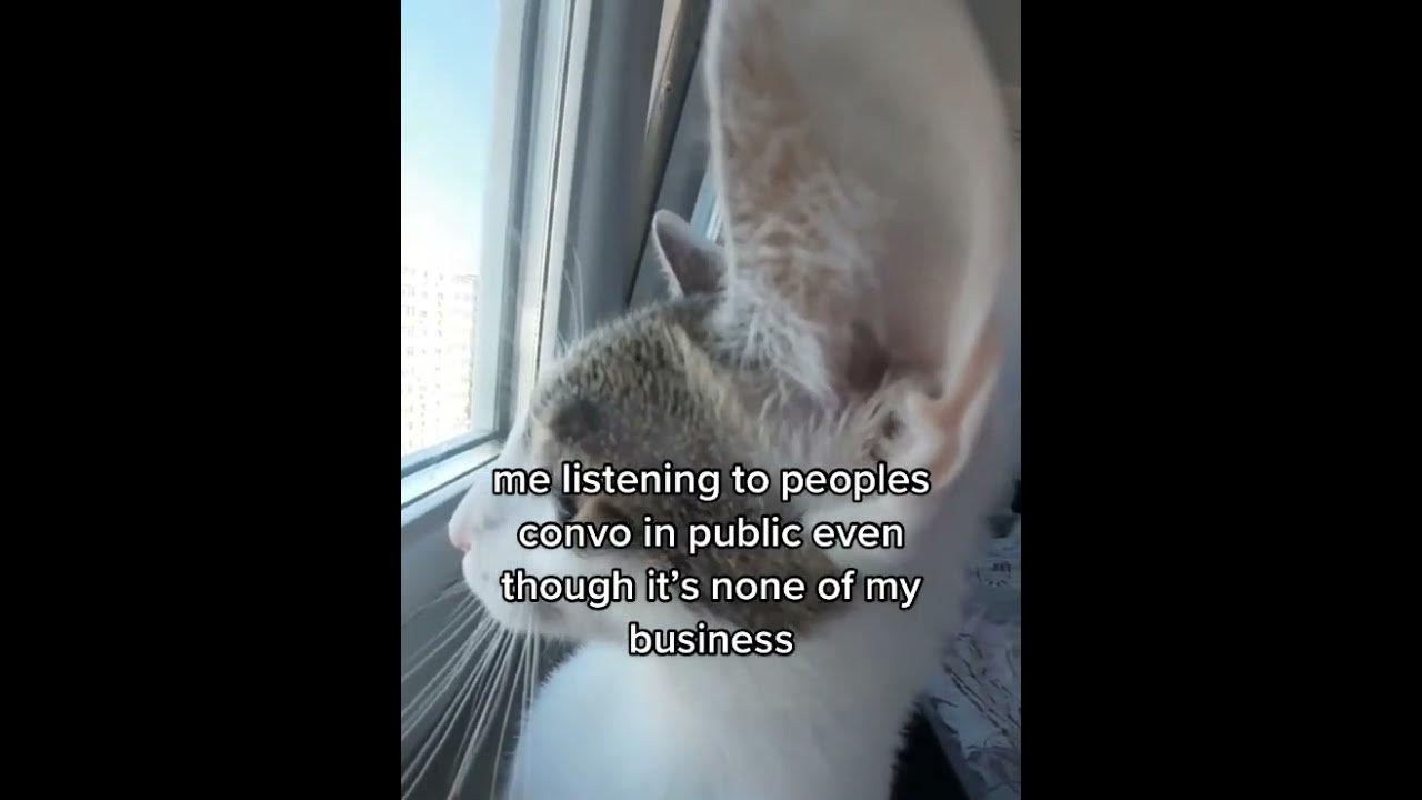 туту - YouTube