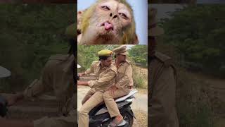 ये पुलिस वाले गलत गांव में चले गए।। ye police vale galat gaon me chale gaye #hppolice #subscribe