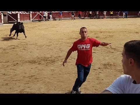 Video: Proč ve Španělsku běhají s býky?